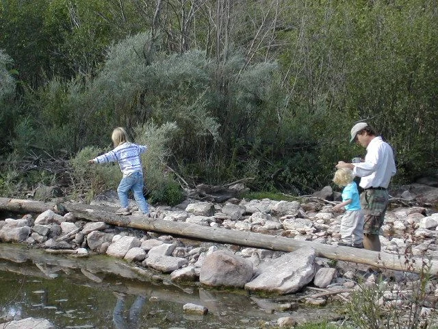 DSCN0561.webp