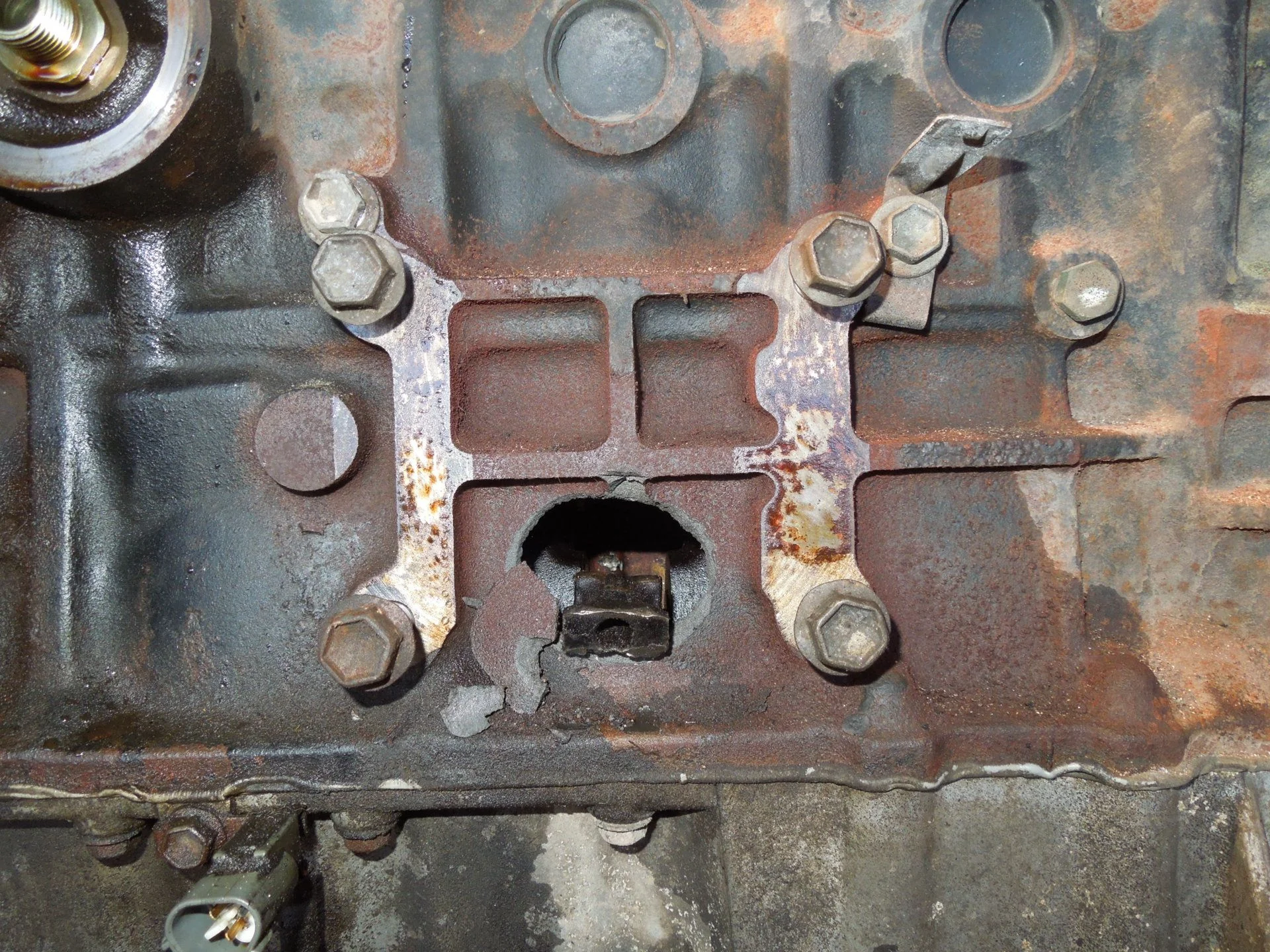 DSCN0562.webp