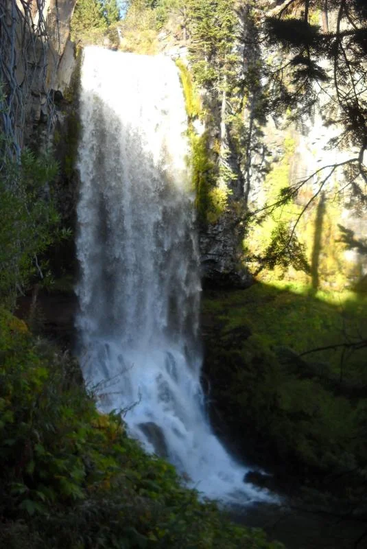 DSCN0677.webp
