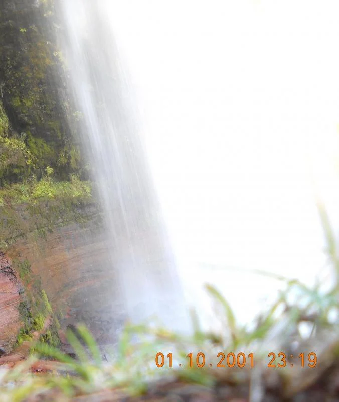 DSCN0688.webp