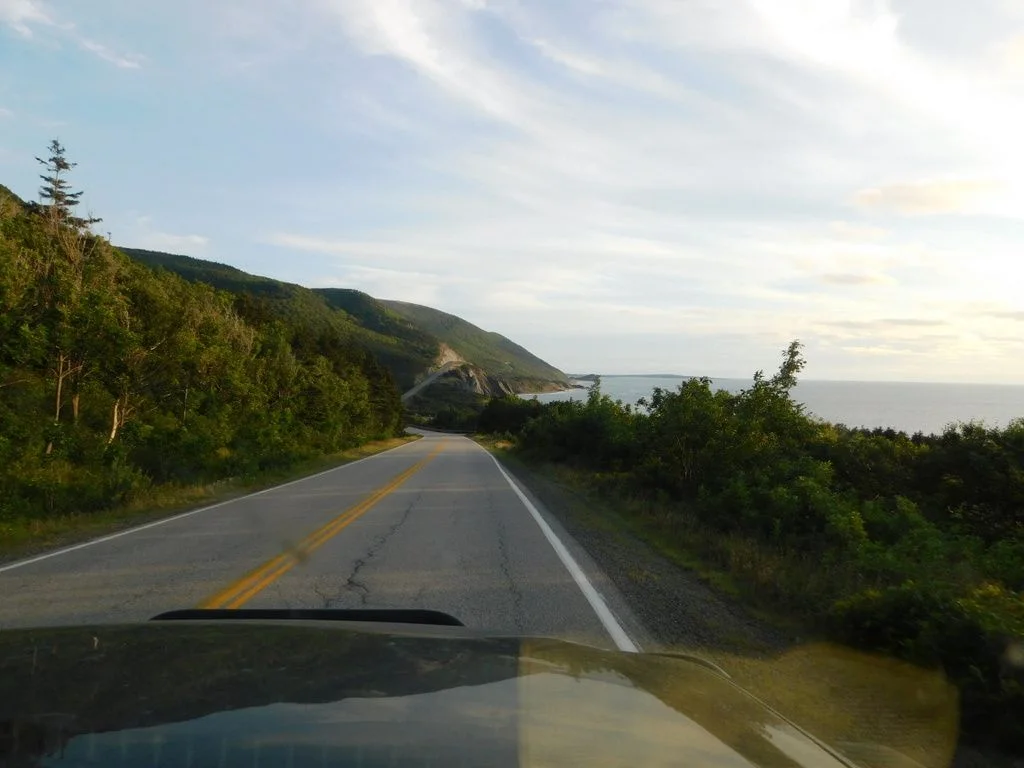 DSCN0793-001.webp