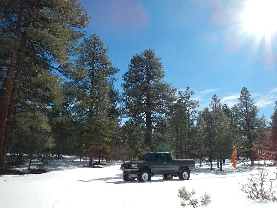DSCN0818.webp