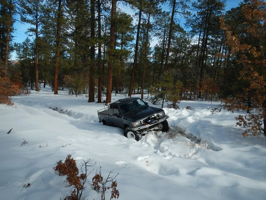 DSCN0822.webp