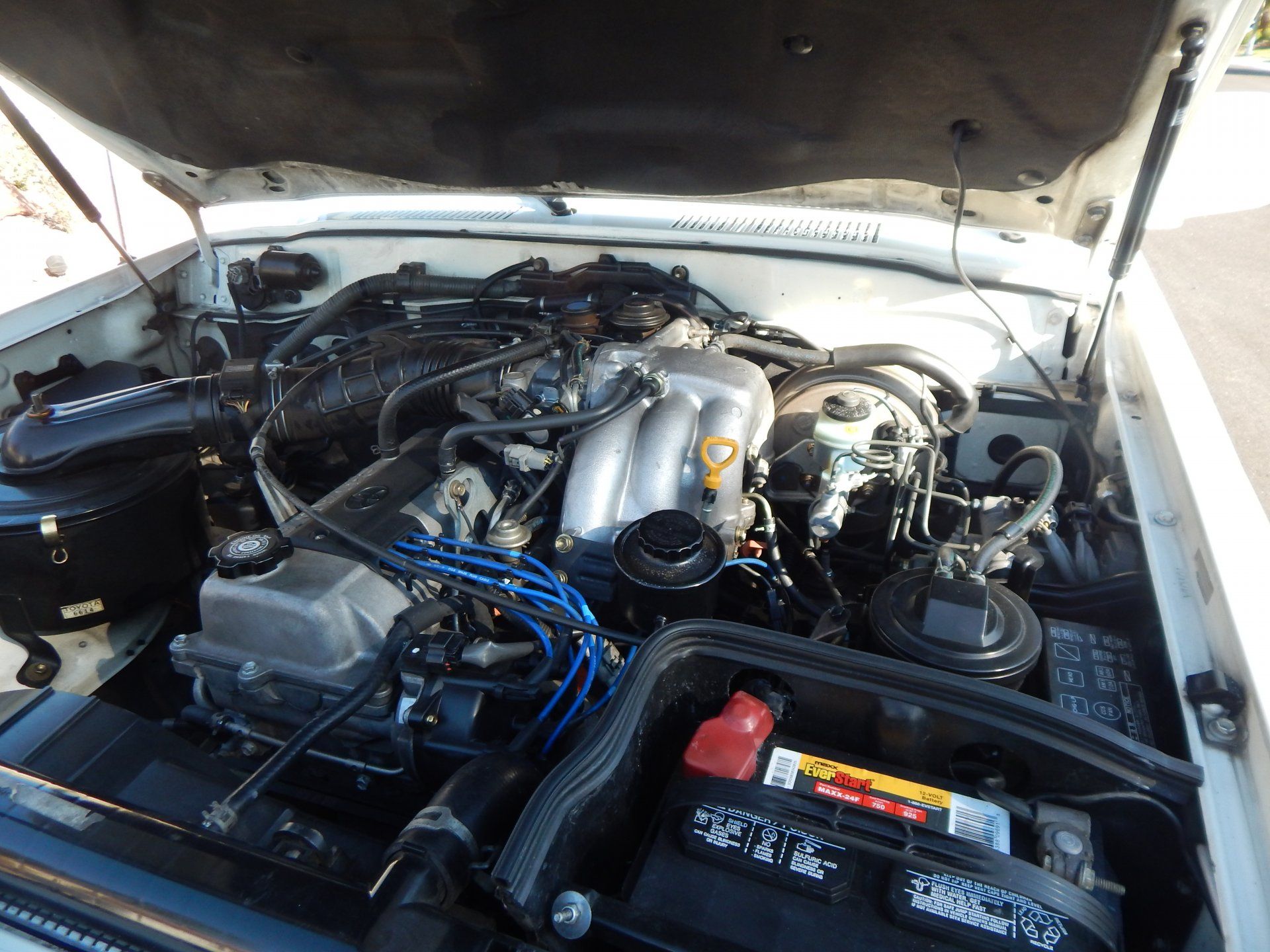 DSCN0863.JPG