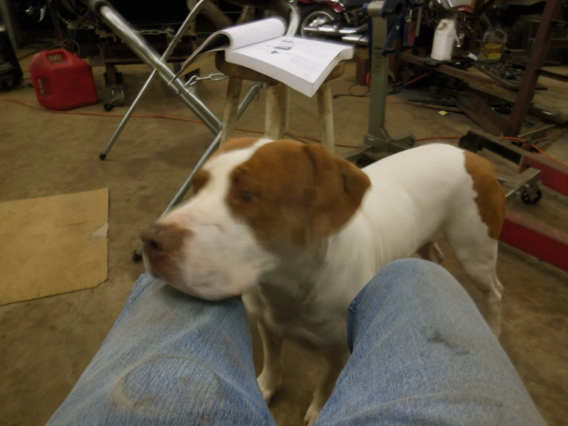 DSCN0868.webp