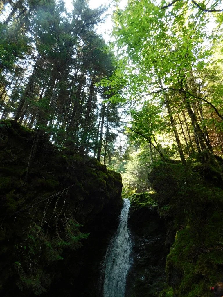 DSCN0879-001.webp