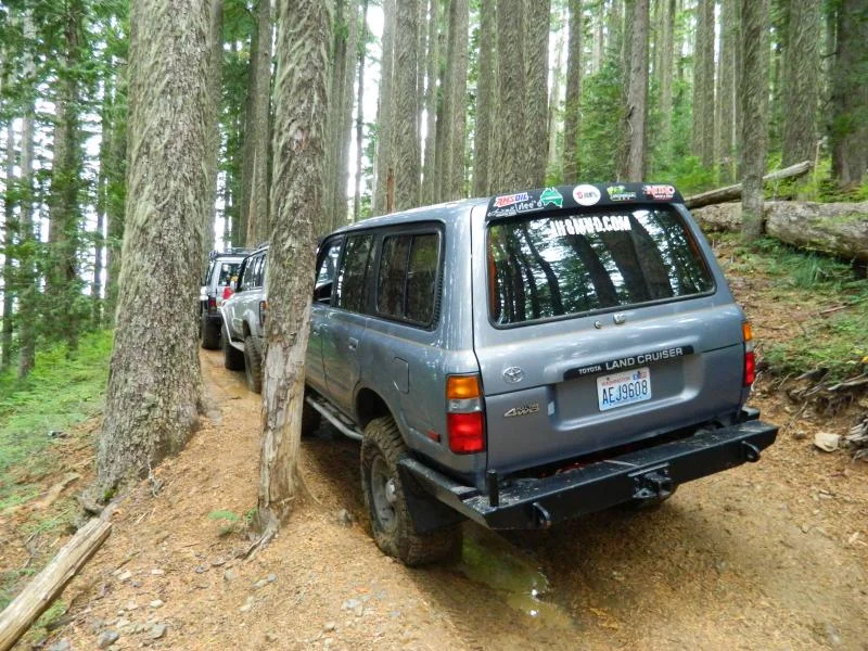 DSCN0880.webp