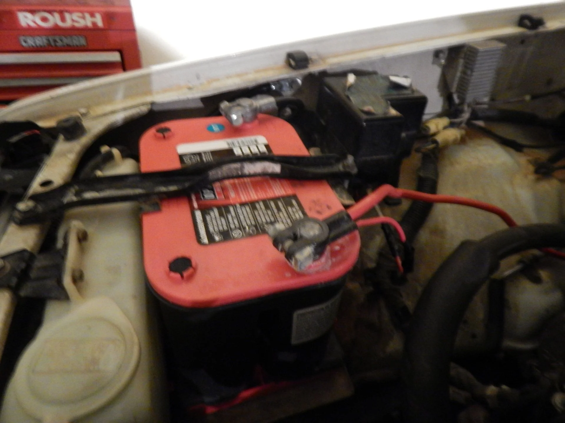 DSCN0883.webp