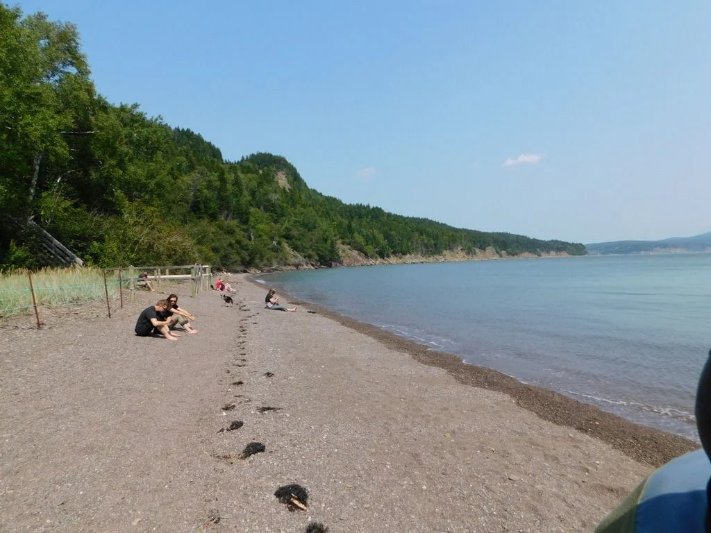 DSCN0894-001.webp