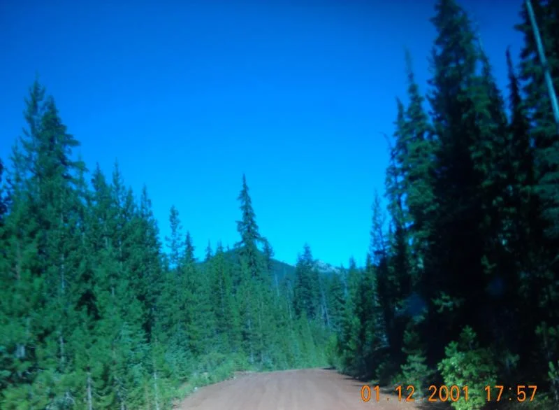 DSCN1079.webp