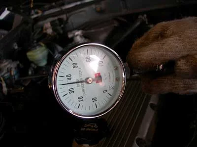 DSCN1081.webp