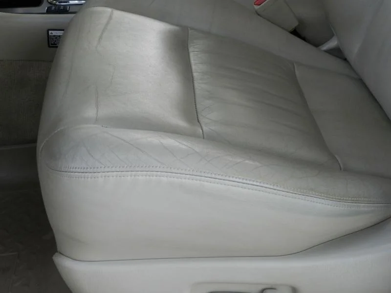 DSCN1106.webp