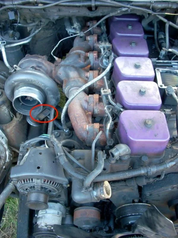DSCN1155.webp