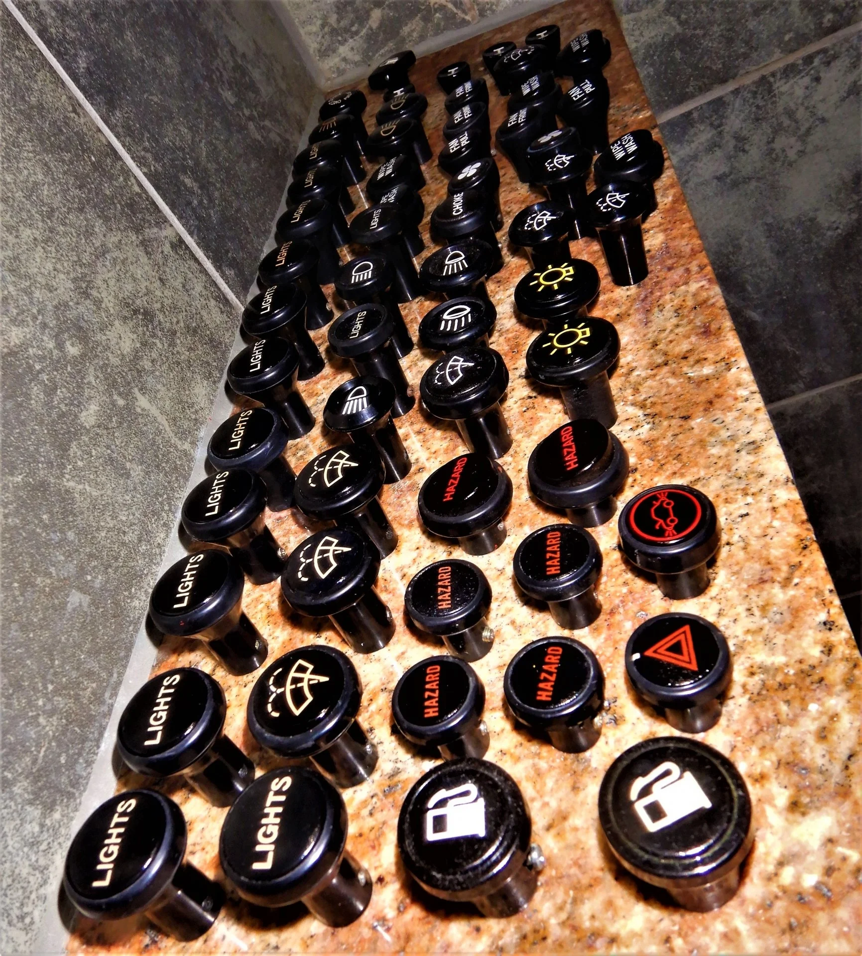 DSCN1179.webp