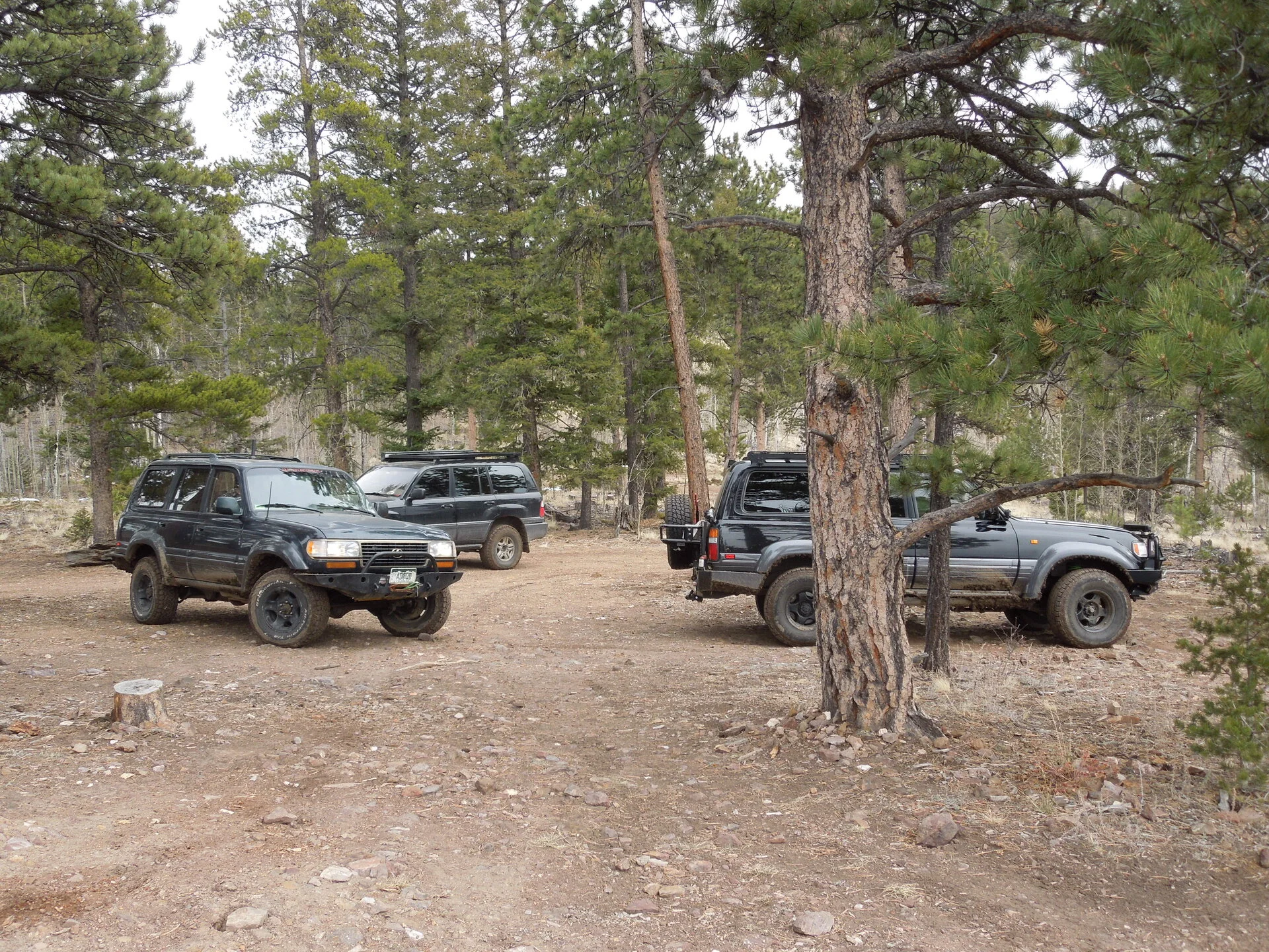 DSCN1217.webp