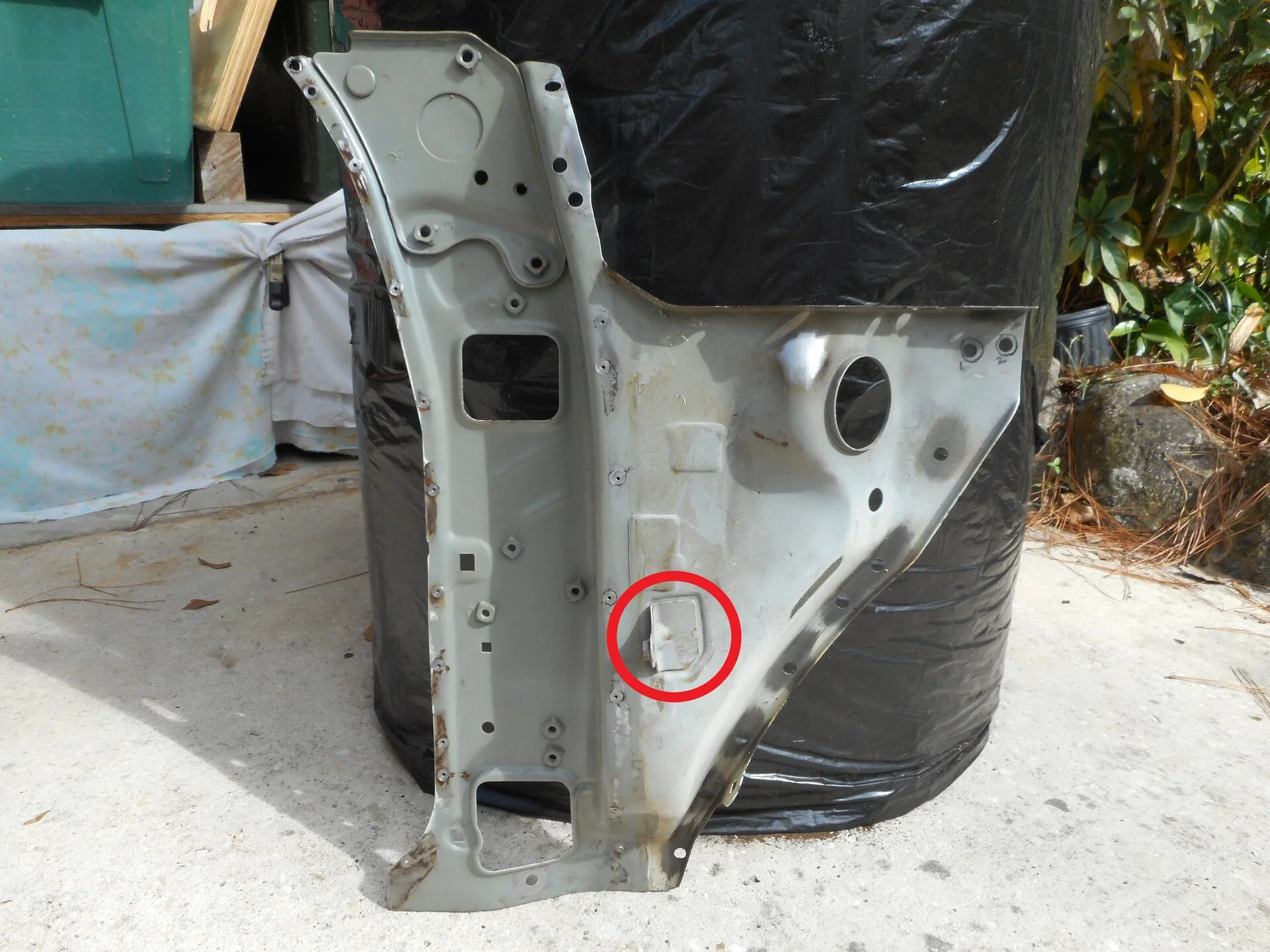 DSCN1234pt.webp