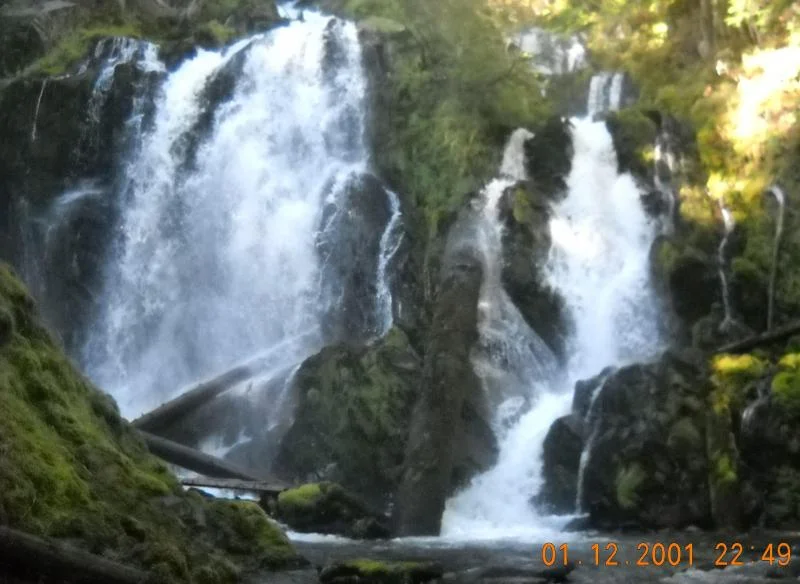 DSCN1303.webp