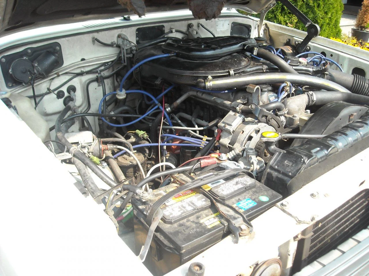 DSCN1367.webp
