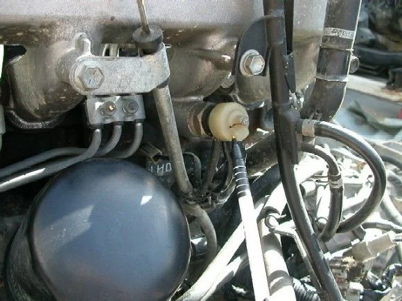 DSCN1387.webp