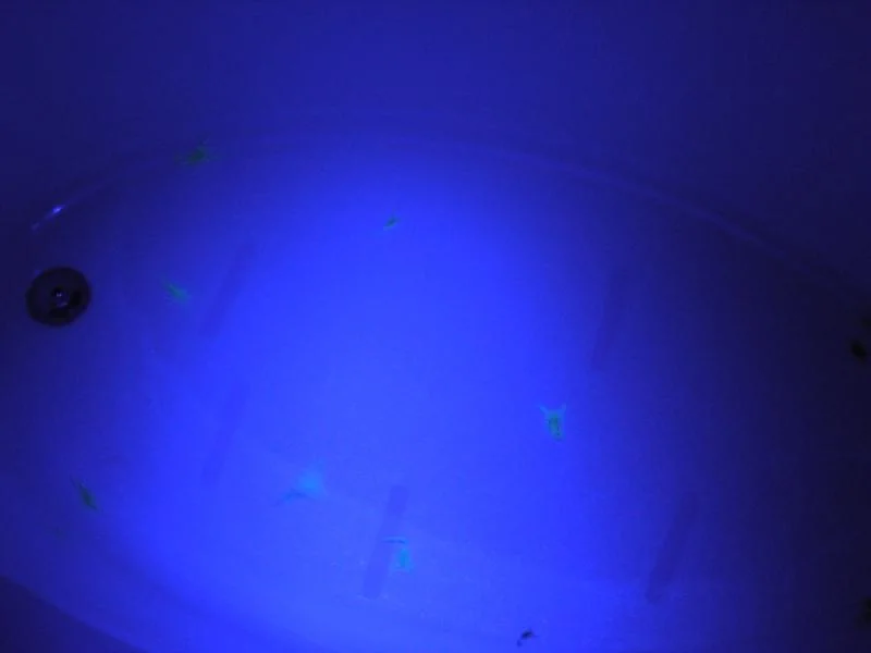 DSCN1399.jpg