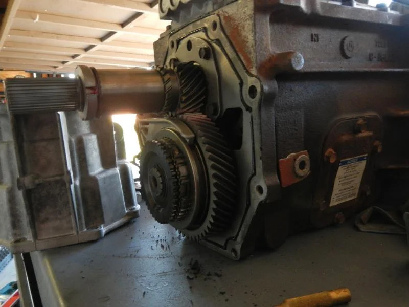 DSCN1401.webp