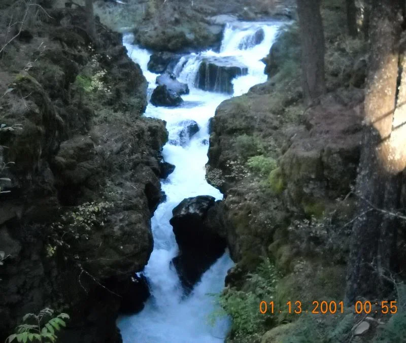 DSCN1403.webp