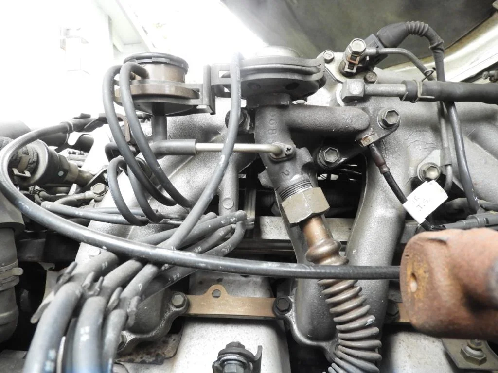 DSCN1404.webp