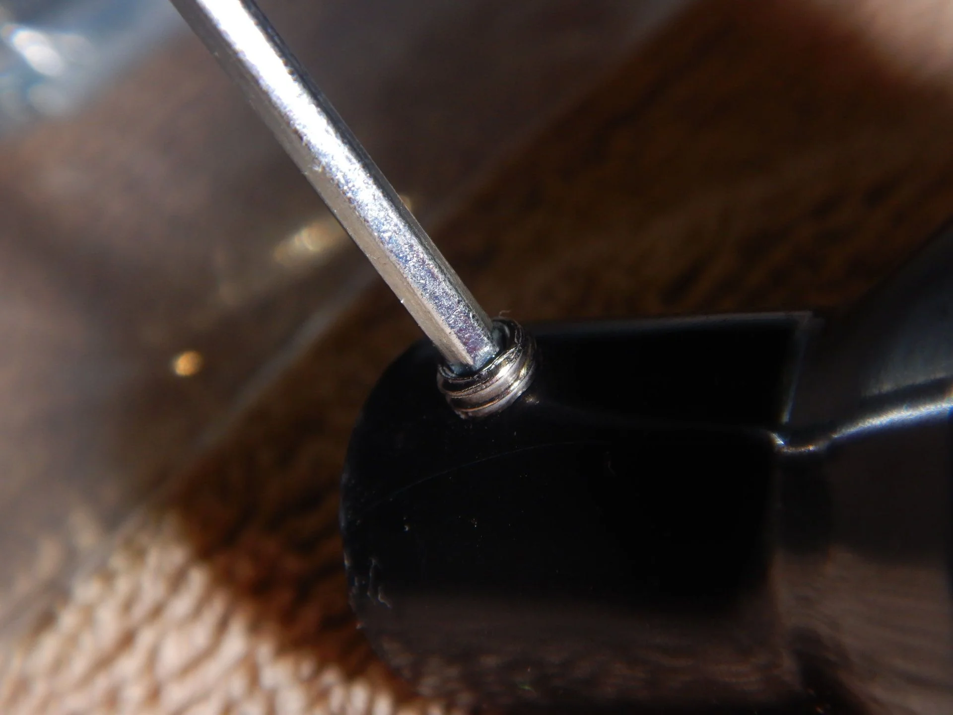 DSCN1519.webp