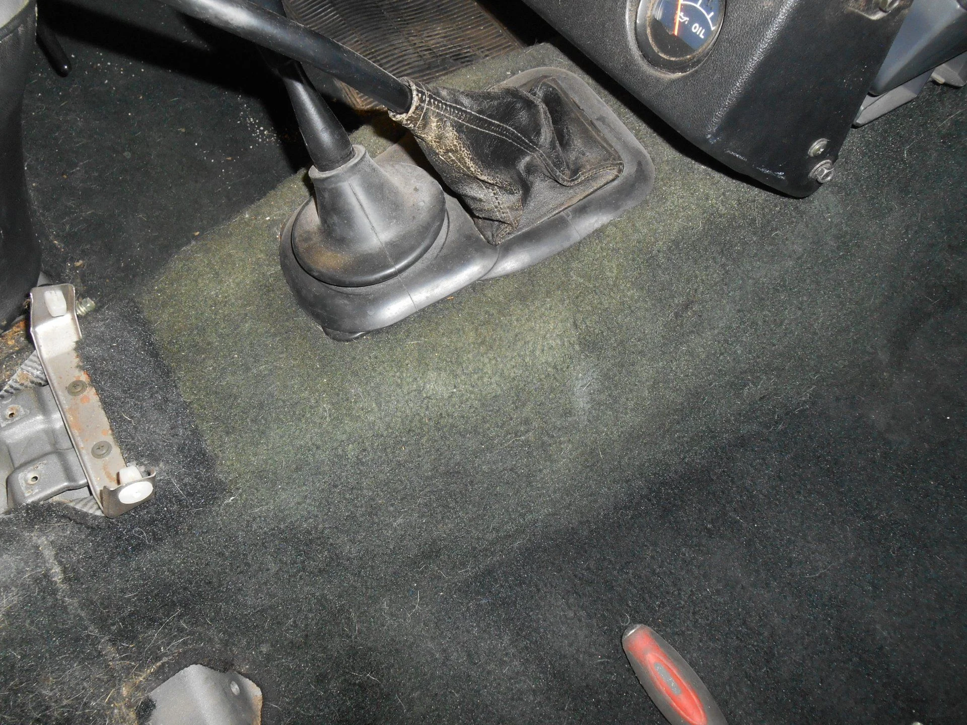 DSCN1528.webp