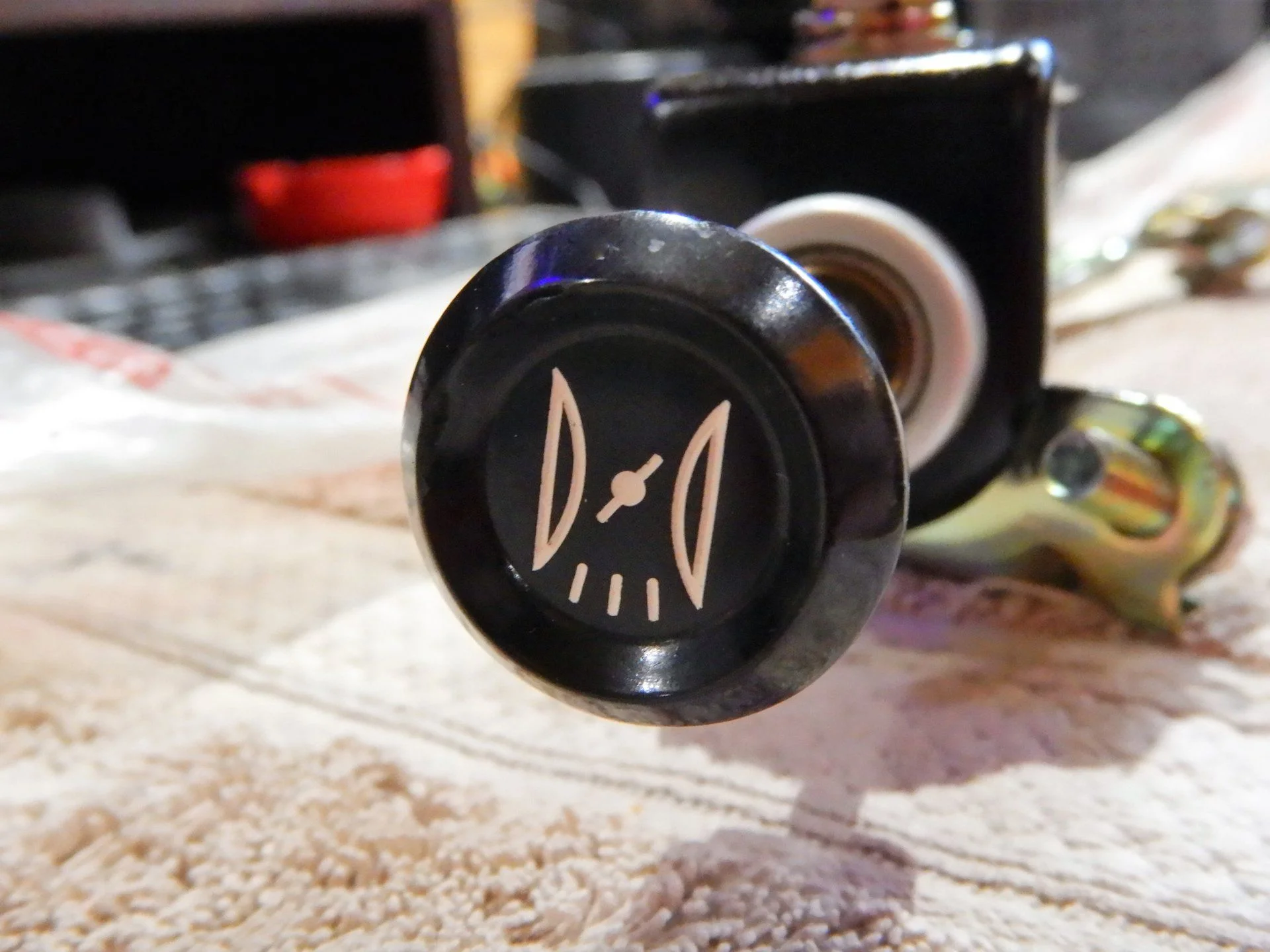 DSCN1586.webp