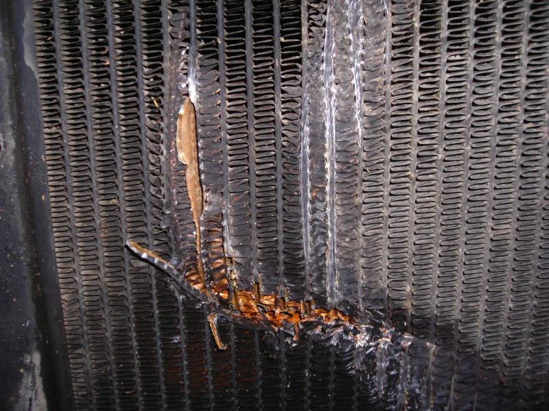 DSCN1822.webp