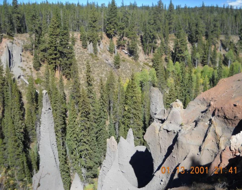 DSCN1878.webp