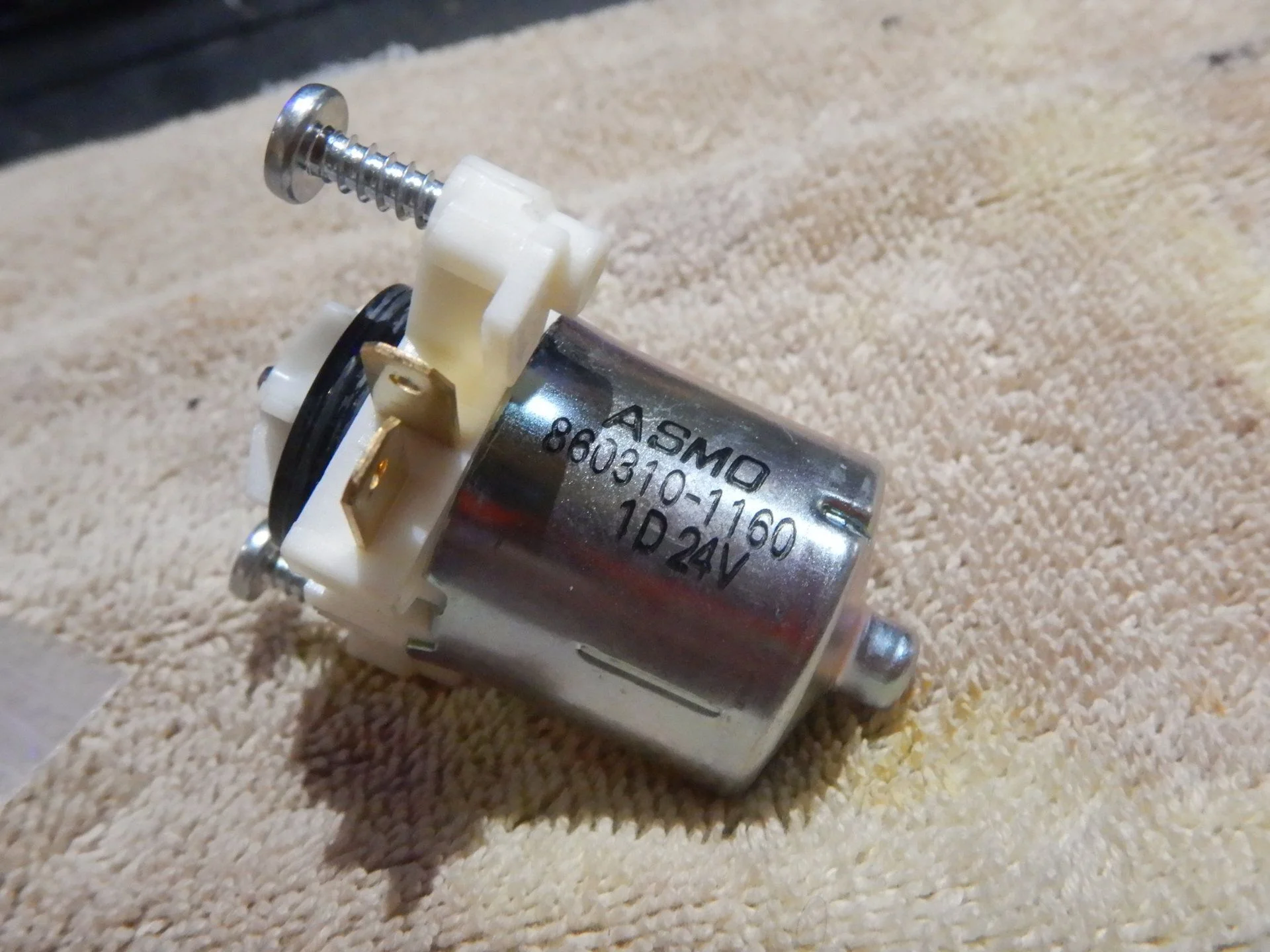 DSCN1902.webp