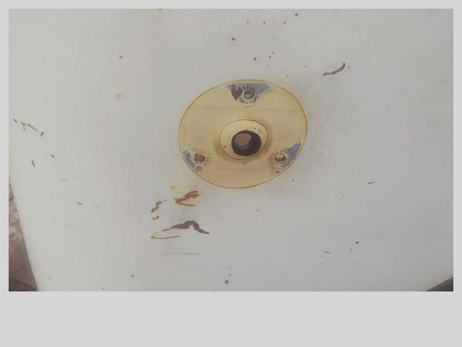 DSCN1903[1].webp