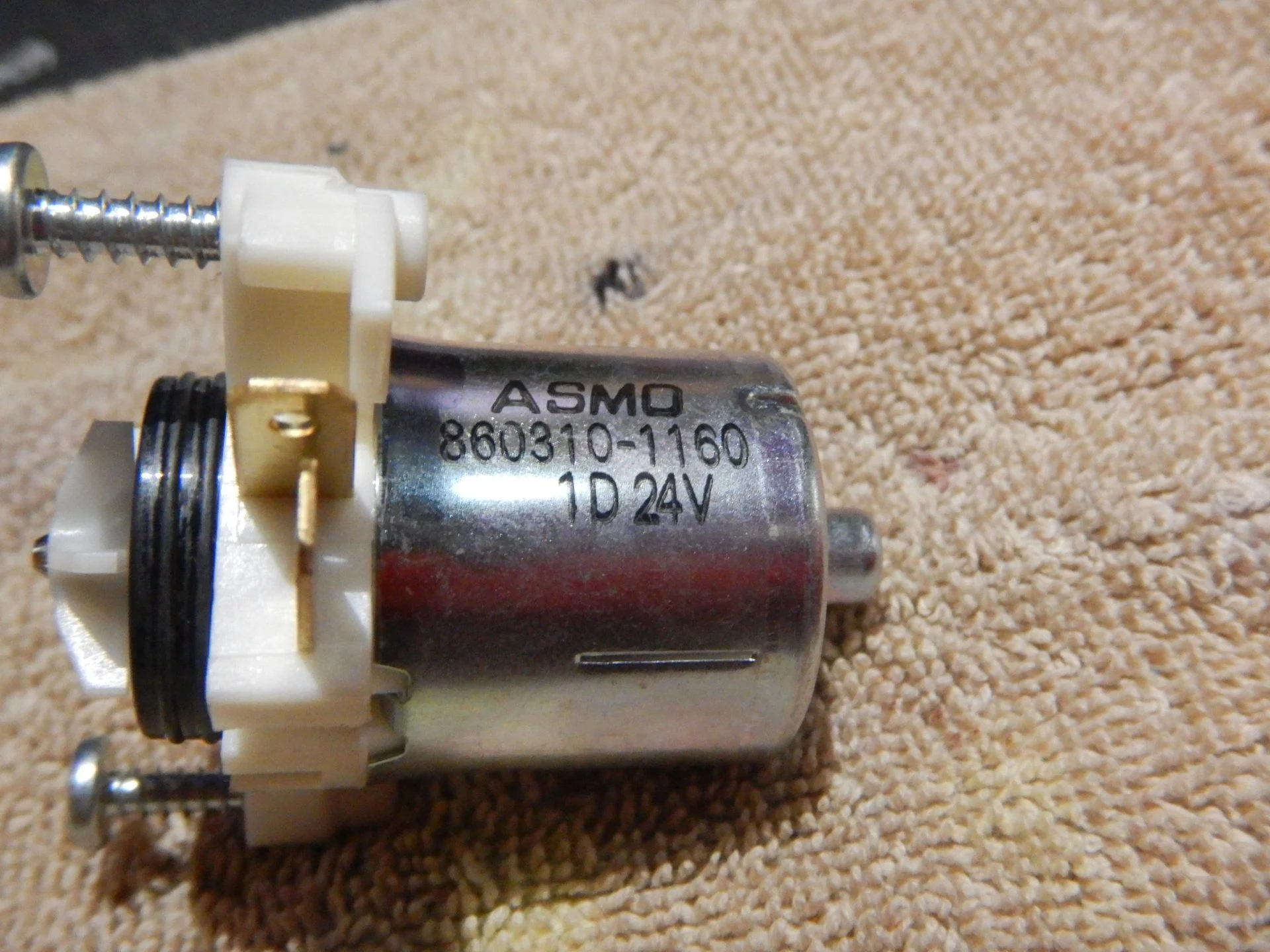 DSCN1905.webp