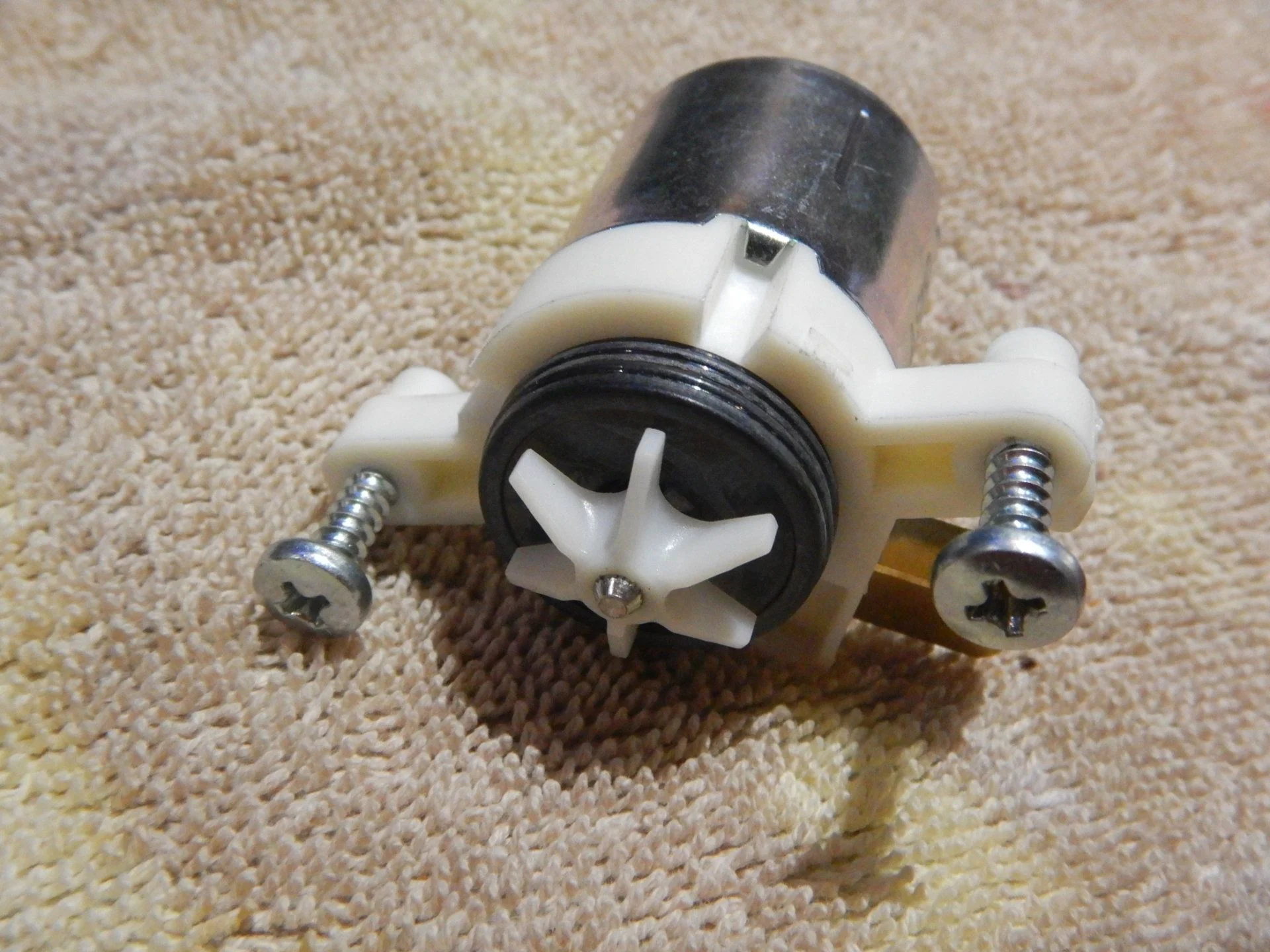 DSCN1906.webp