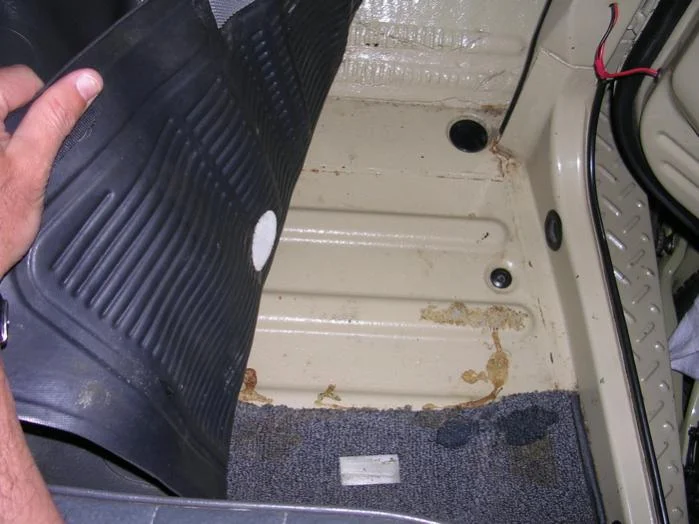 DSCN1911.webp
