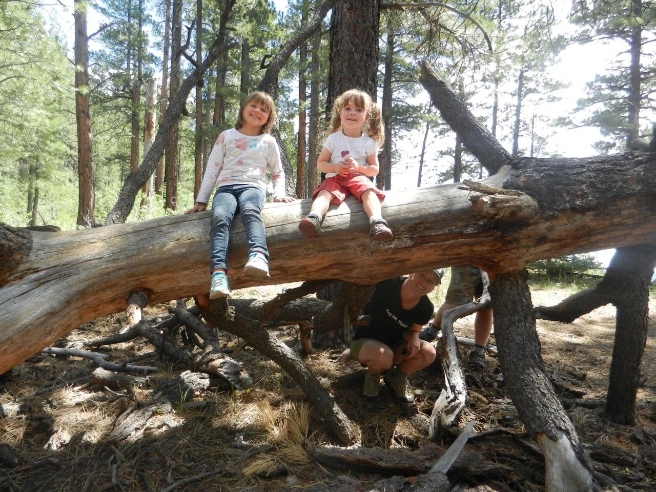 DSCN1951.webp