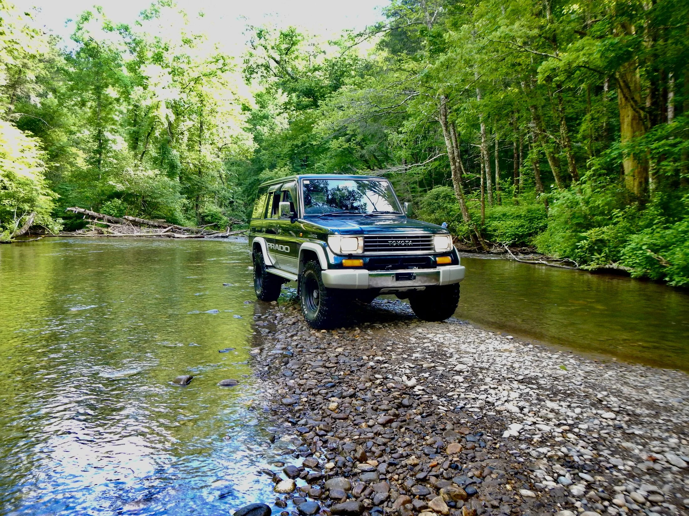 DSCN1968.webp