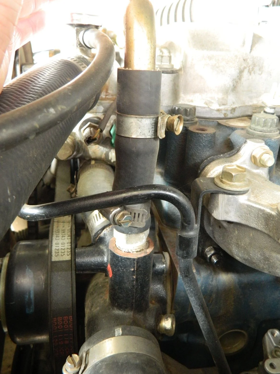 DSCN2193.webp
