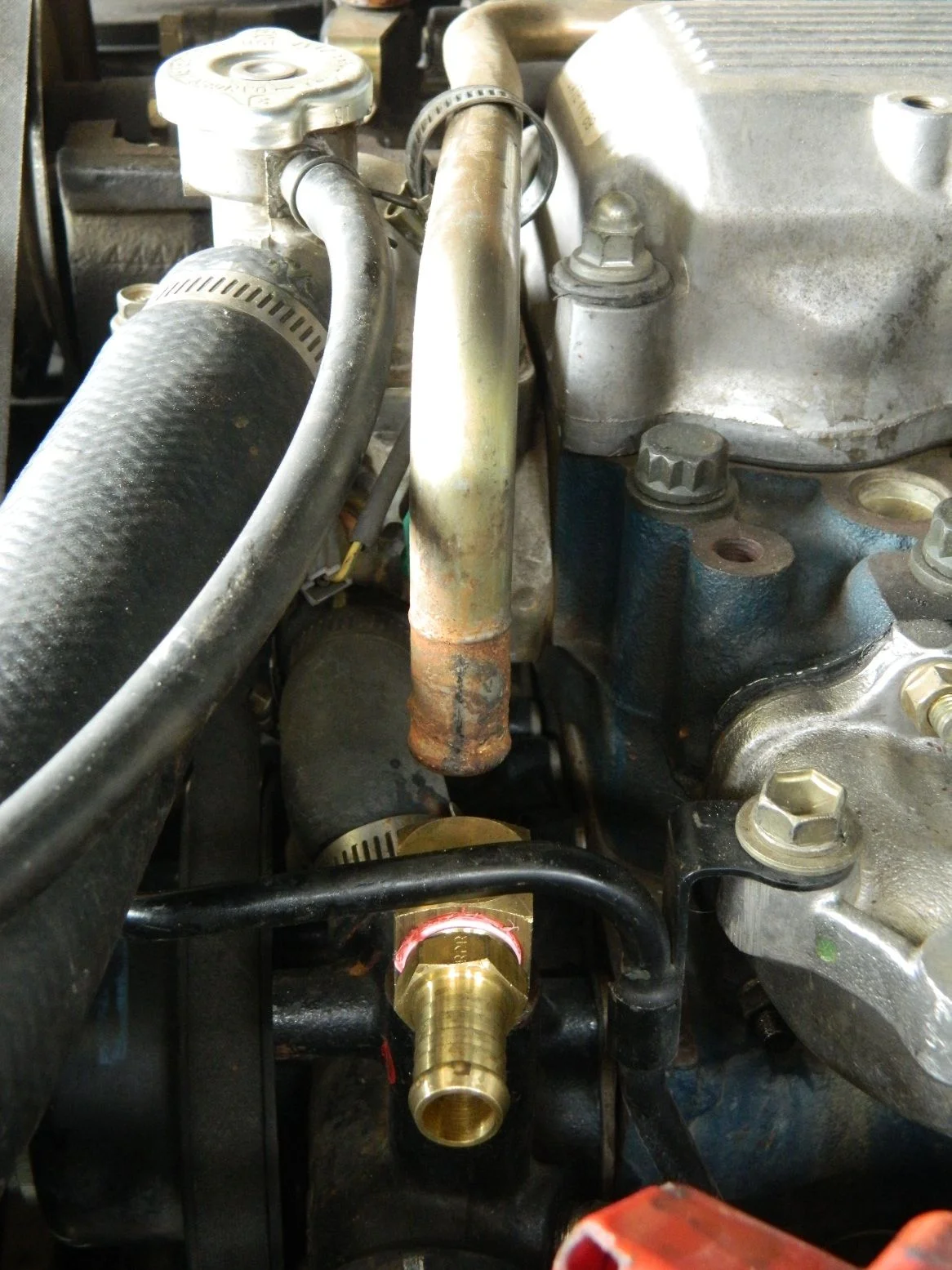DSCN2195.webp
