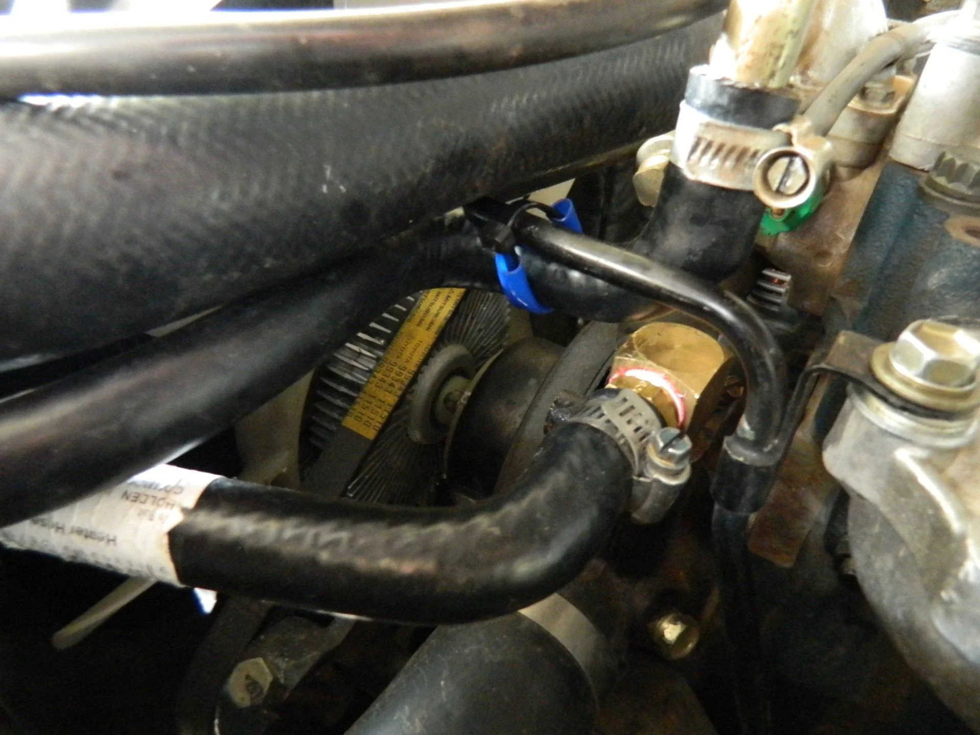DSCN2203.webp