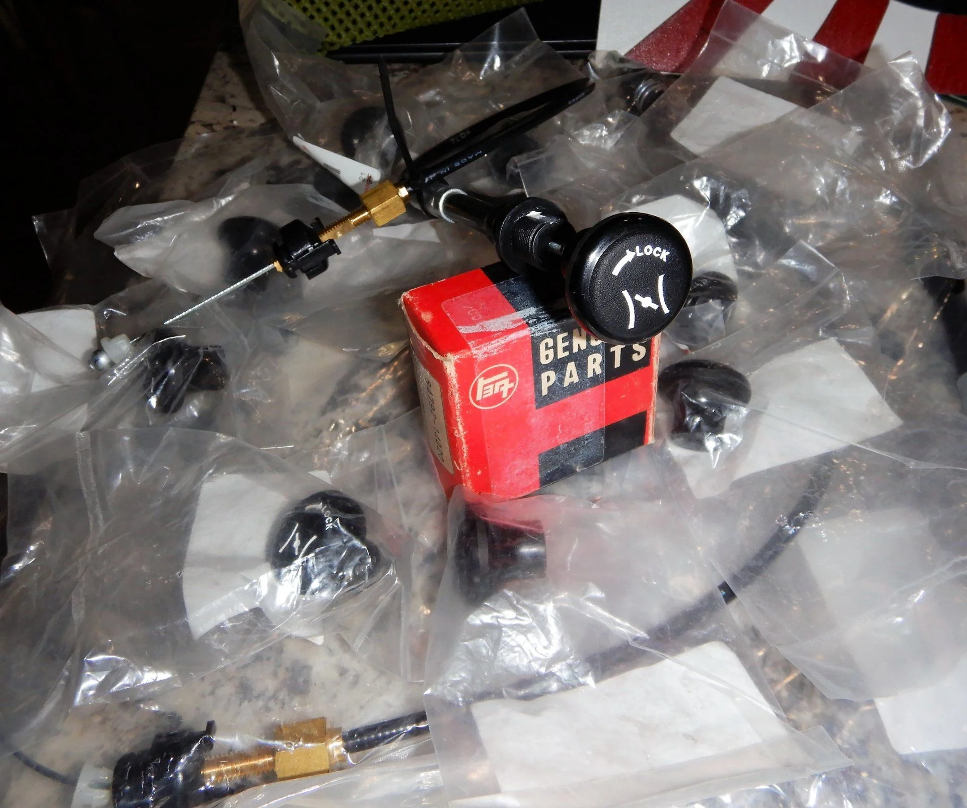 DSCN2335.webp