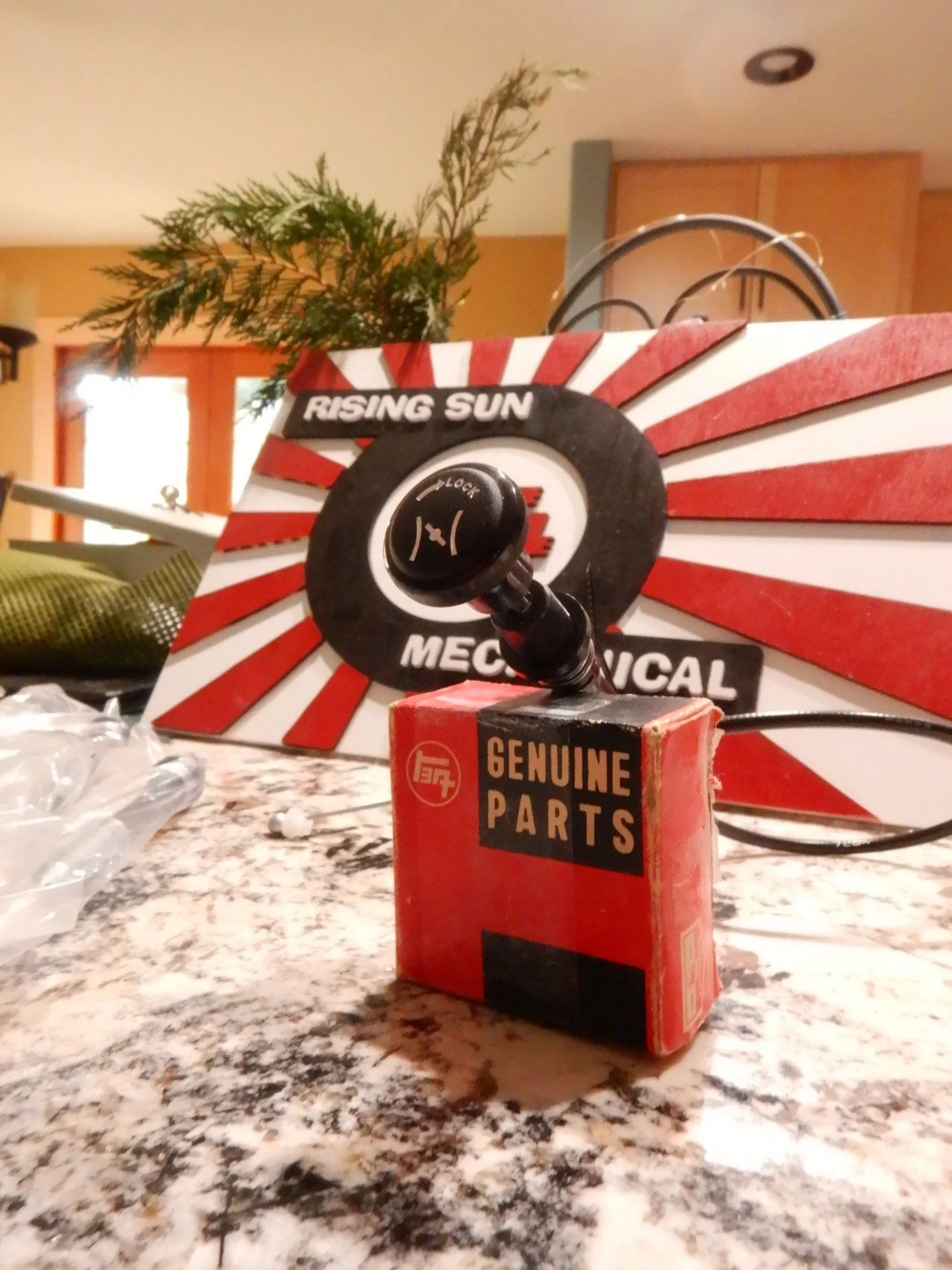 DSCN2342.webp