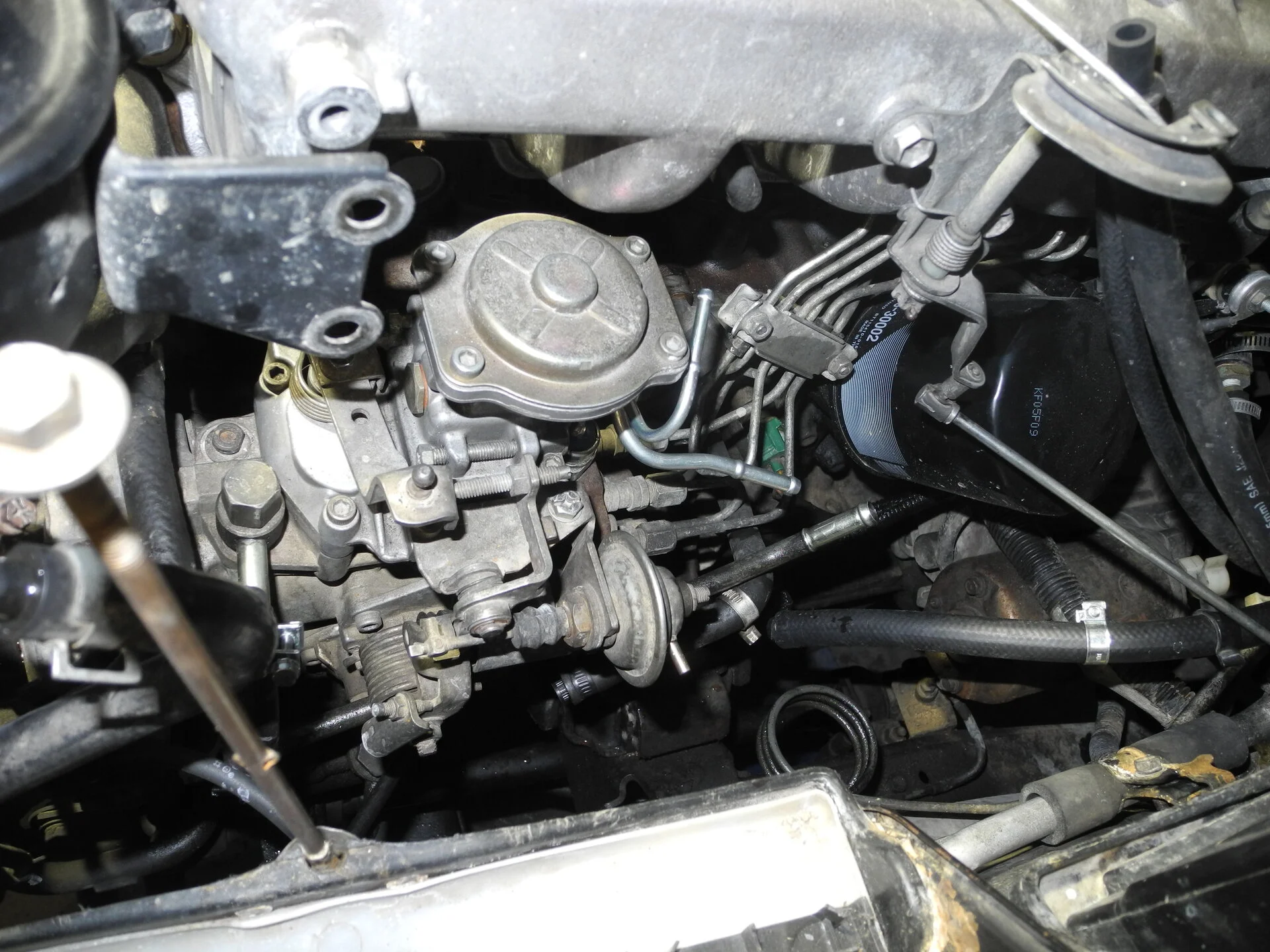 DSCN2481.webp