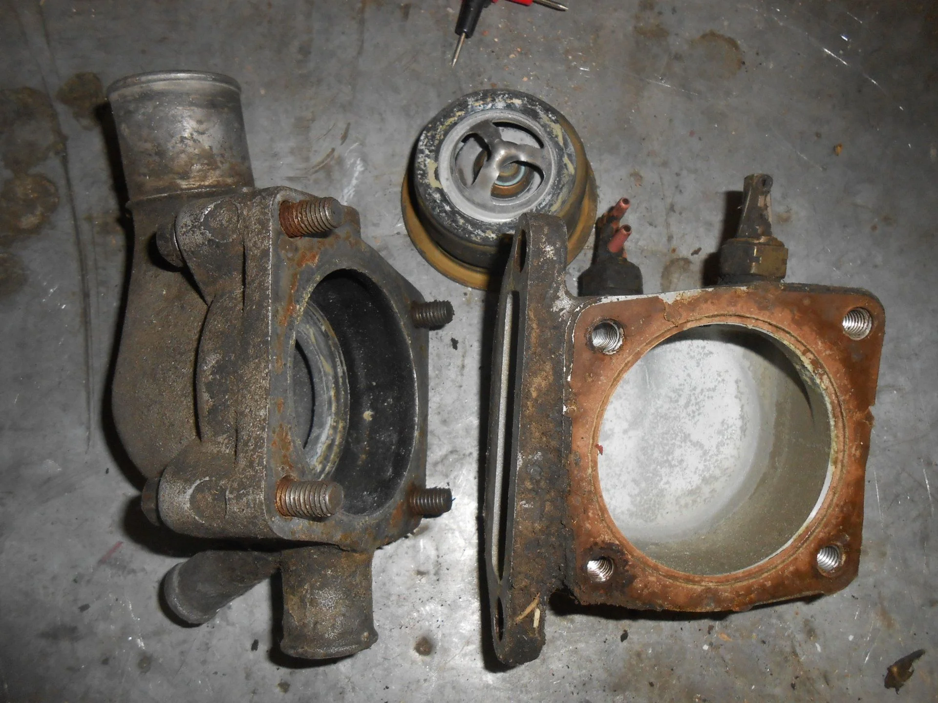 DSCN2490.webp