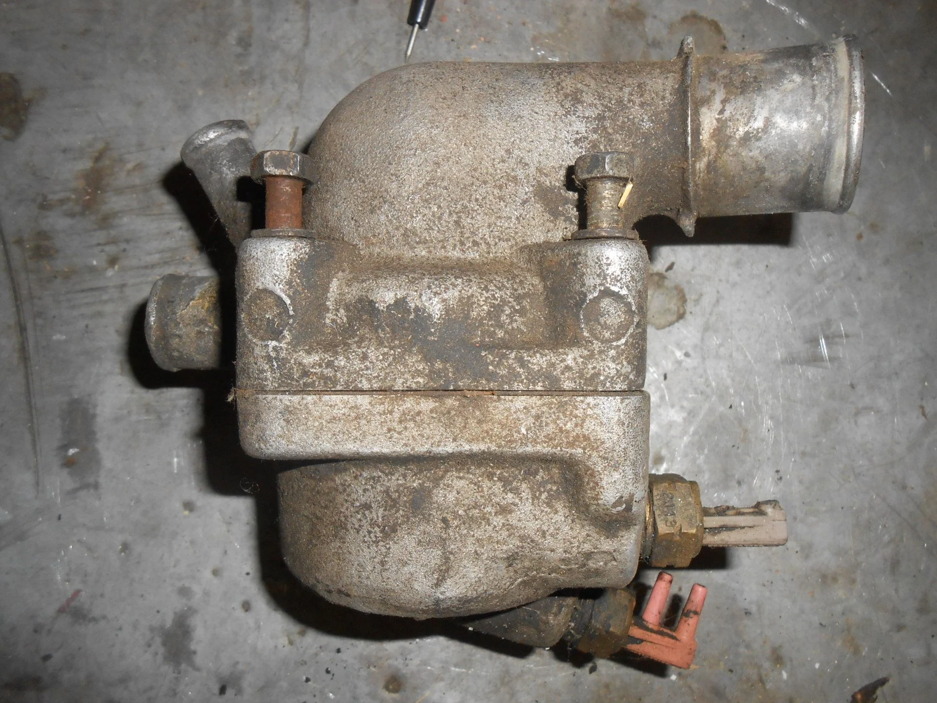 DSCN2491.webp