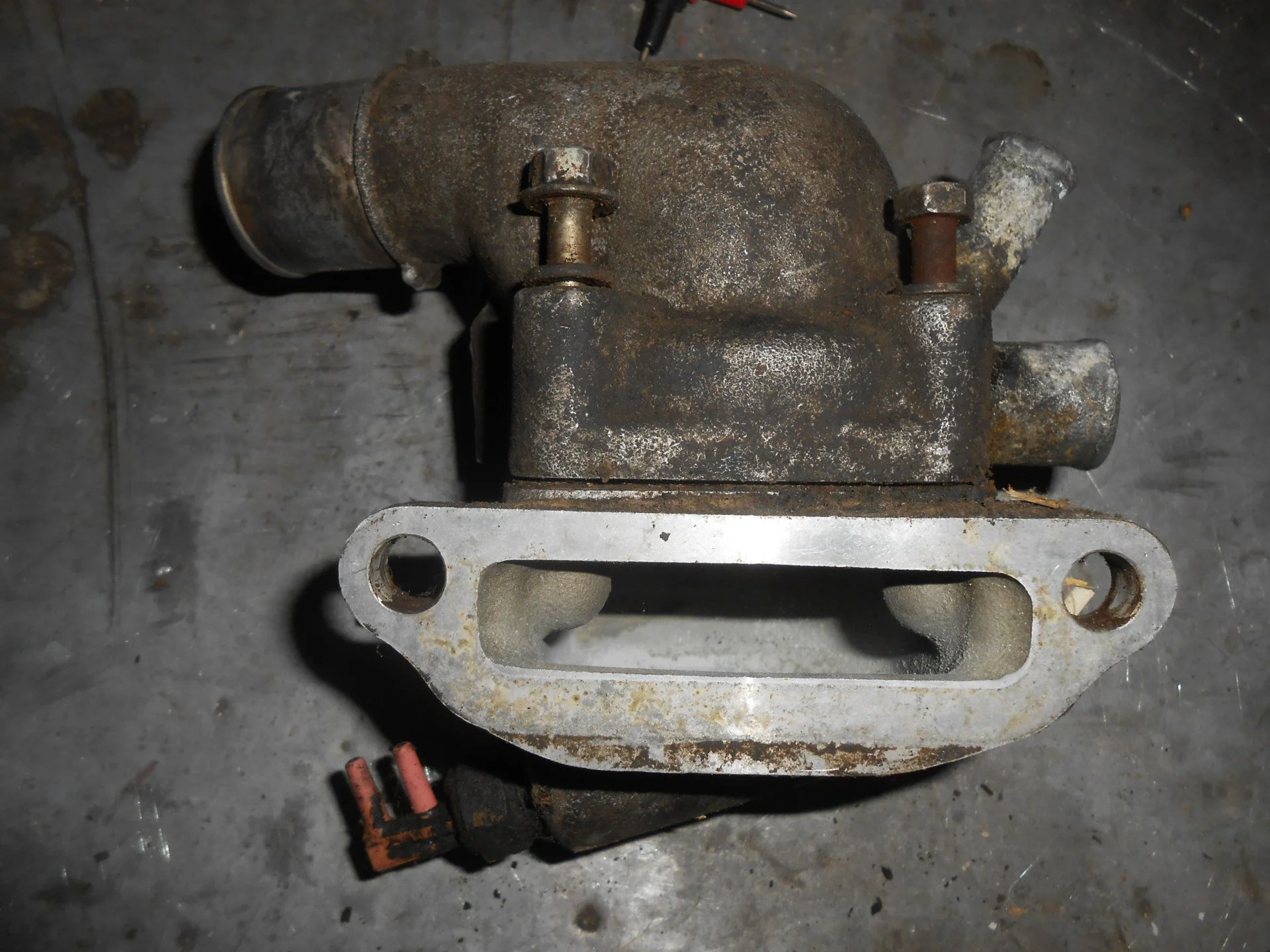 DSCN2492.webp