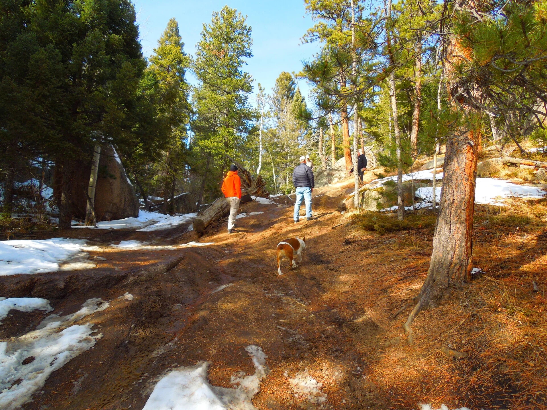 DSCN2492.webp