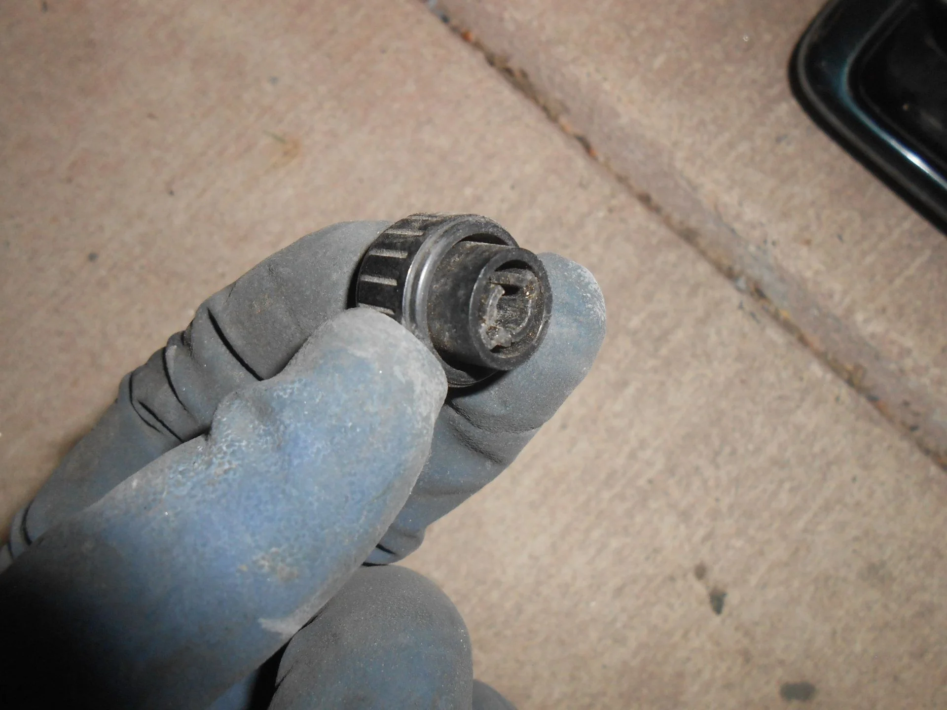DSCN2589.webp